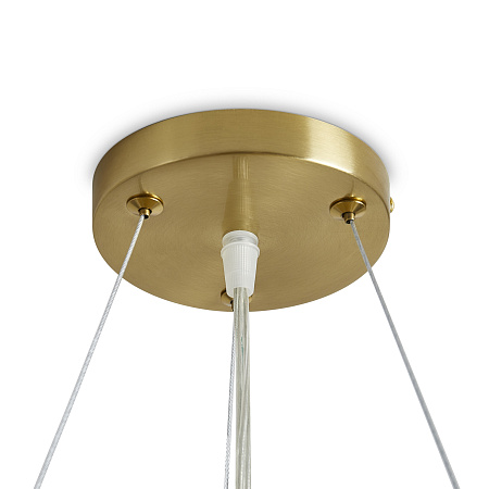 Люстра подвесная светодиодная Freya Cozy FR6170PL-L52BS