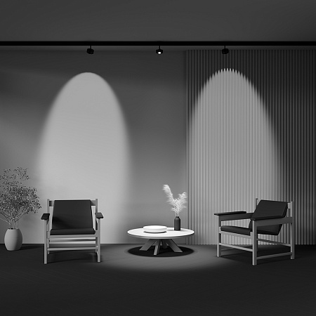 Трековый магнитный светодиодный светильник Maytoni Exility Lens TR217-4-15WTW-DS-B