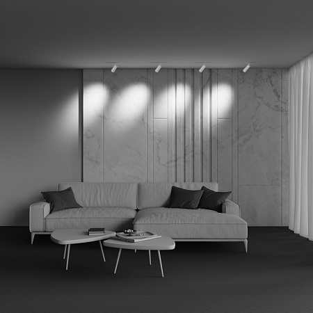 Трековый магнитный светодиодный светильник Maytoni Exility Focus Zoom TR211-1-12W3K-Z-W