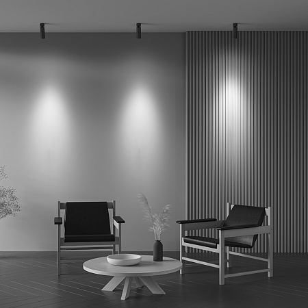 Спот светодиодный Maytoni Focus Zoom C055CL-L12W2.7K-Z-B