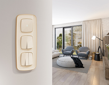 Комплект механизма 2-клавишного перекрестного выключателя 10A Omega MO303030