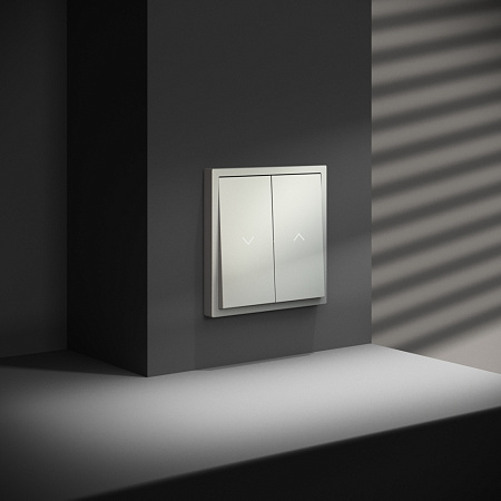 Выключатель двухклавишный встраиваемый для жалюзи 10А Voltum S70 (сталь) VLS020705