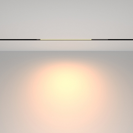 Трековый магнитный светодиодный светильник Maytoni Exility Basis TR231-2-10W3K-B