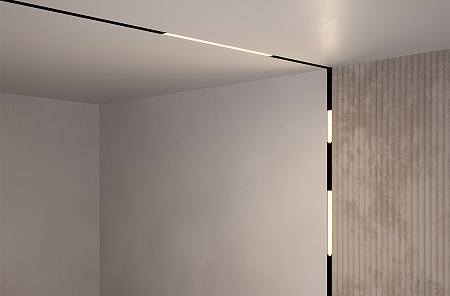 Трековый магнитный однофазный светодиодный светильник Maytoni Basis Gravity TR074-2-12W4K-B