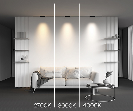 Трековый магнитный светодиодный светильник Maytoni Levity Points TR193-1-10W4K-M-B