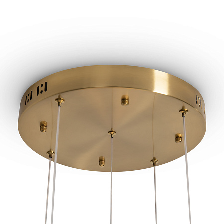 Подвесной светильник Freya Flower FR5579PL-L40BS