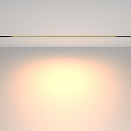 Трековый магнитный светодиодный светильник Maytoni Exility Basis TR231-2-15W3K-B