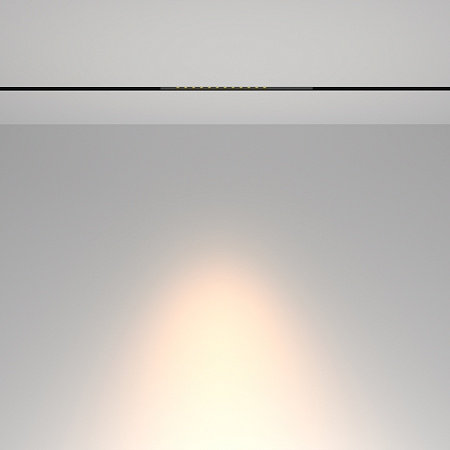 Трековый магнитный светодиодный светильник Maytoni Exility Points TR232-2-10W3K-B