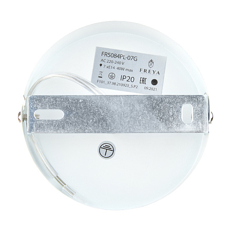 Люстра на штанге Freya Vanessa FR5084PL-07G