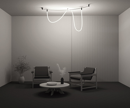 Трековый магнитный светодиодный светильник Maytoni Flexity Tau TR209-1-48W3K-B