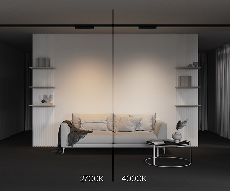 Трековый трехфазный светодиодный светильник Maytoni Trinity Basis TR196-3-10W2.7K-B Трековый трехфазный светодиодный светильник Maytoni Trinity Basis TR196-3-10W2.7K-B