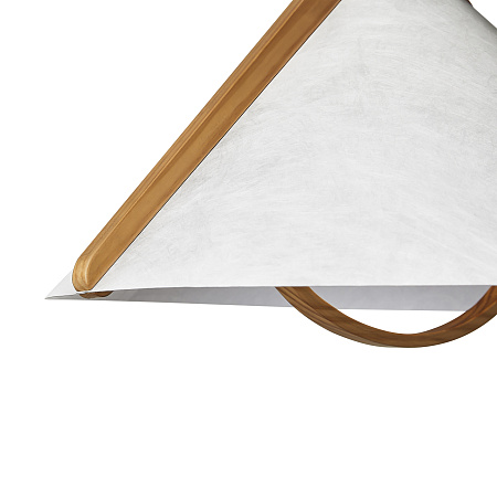 Светильник подвесной Freya Umbra FR5554CL-01T