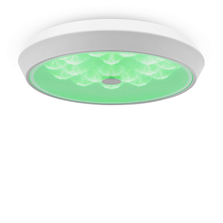 Потолочный светодиодный светильник Freya Cells FR10012CL-L24W