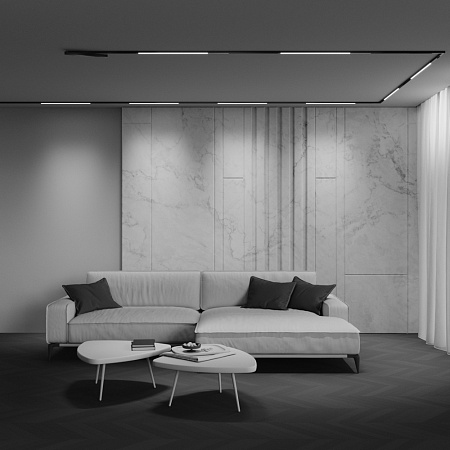 Трековый магнитный светодиодный светильник Maytoni Exility X Basis TR240-4-12WTW-DD2-B