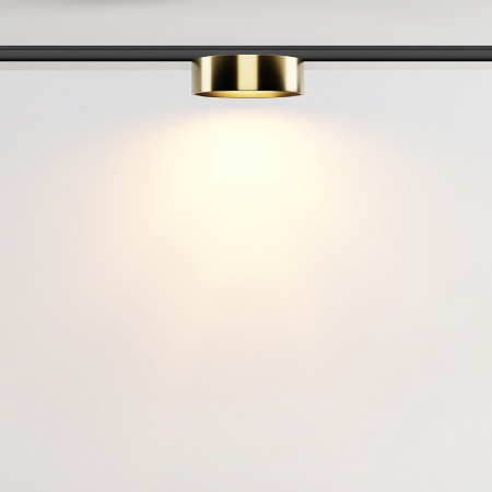 Трековый магнитный светодиодный светильник Maytoni Levity Zon TR189-1-12W2.7K-BBS