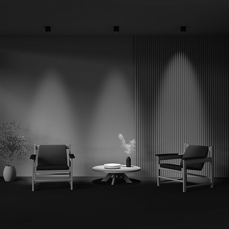 Светильник потолочный светодиодный Maytoni Lens C217CL-15W3K-B