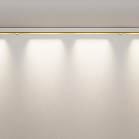 Трековый штанговый светодиодный светильник Maytoni Axity Points C101CL-L1000-24W3-6K-BS